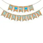 Zyozique Its my 1/2 Birthday Banner - Half Birthday Banner, Half Birthday Decorations, 6 Month Photo Prop,Best Birthday Party Supplies (Blue)