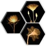 saf 6MM MDF HEXAGON FLORAL Digital Reprint 10.39 inch x 12 inch Painting (With Frame, Pack of 3) SAFHX15