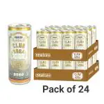 Newtreo Club Soda | 100% Natural Unsweetened Soda Water | Zero Sugar & Zero Calories | Unflavoured Carbonated Water | Plain Soda Drink | Pack of 24 (250ml Each)