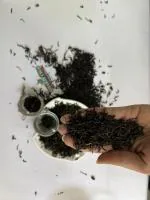 Kbw Bharat Chai Khari Baoli Wale Premium Orthodox Tea Leaf Chai | Premium Assam Tea Leaves | With Goodness Of Time-Tested Indian Black Ctc Tea| | Black Tea Flavoured Tea | 250Gm