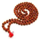 Feel Touch Mart Rudraksha Jaap Mala Natural Bead 108+1 Bead with Lab Certified