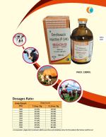 BUTACAL MEGACIN-SS 30ML