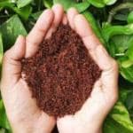 Anushika Cocopeat Powder Best Potting Soil Mix Soil Manure Cocopeat Powder, Potting Mixture 1 kg