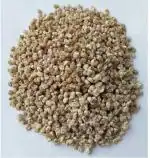 Platone Oyster Mushroom Seeds Spawn(750 Gms)