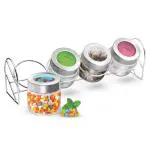 Treo By Milton Delfy Storage Glass Jar Translucent Colour Lid With Metal Stand, Set of 4