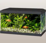 HEMIZA Hailea fish tank aquarium Immersible water Pump-08