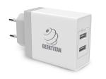 GeekTitan Dual Port 2.4A x 2, 24W Turbo Wall Charger with SmartIQ (USB Mobile Charger) - White