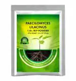 EARATAGROPOTS with Nature Organic Paecilomyces Lilacinus Biocontrol Agents - 1 Kg