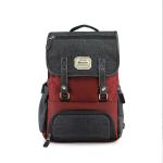Harissons Bags Dexter Multicolor Polyester 14 inch Casual Laptop Backpack 18 L (HB1125MAROON)
