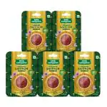 Tata Sampann Golden Saffron/Kesar-100% Pure 5g (1 g x 5)