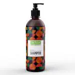 Re:fresh Herbal Shampoo 500 ML | Consists of Shikakai & Amla extracts | Imparts Softness to Hair | Shampoo for Men and Women