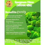 Shehri Kisaan Dried Sphagnum Moss Grass / Peat Moss for Lush Lawn & Gardens | Enhances Water Retention | Perfect for Propagation | Ideal for Mulching (5 Kg)