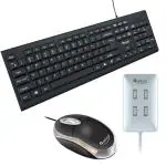 Buy Quantum Combo of Wired Keyboard+ Optical Mouse+ 4 Port USB-Hub ...
