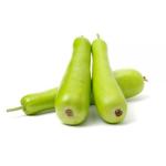 PARYAVARAAN Vegetable Seeds | Bottle Gourd Long Seeds | Bottle Gourd Long Vegetable Seeds | Round Bottle Long Seeds Hybrid F1 For Home Gardening pack of 20 seeds pack of 2 packet