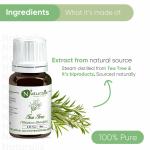 Naturalis Essence Of Nature Tea Tree Essential Oil, For Acne, Pimples, Scars, Skin, Face, Hair Care & Anti-Dandruff - 10Ml