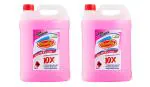 Shinelay Disinfectant Surface & Floor Cleaner Liquid, Floral - 5 Liter (Pack of 2)| Kills 99.9% Germs | India's 1 Floor Cleaner