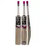SS Kashmir Willow Cricket Bat - 910 g