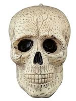JAGMAG Big Size Halloween Horror Skull