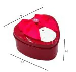 TEJ GIFTS Small Heart Shaped Tin Box | Metal Tin Birthday Valentine’s Day Gift for Girlfriend, Wife, Fiancee, Boyfriend, Husband | Multipurpose Jewellery Container Red, Pack Of 1 (Design 1)