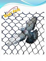 Birds' Park Anti Bird & Fish Net-Bird Protection Net Protection from Pigeon Bird Size:25x10' HDPE)