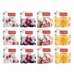 Archita Cone Colourful Dhoop 4 in 1 100% Organic (Pack of 12)(10 cone/box)