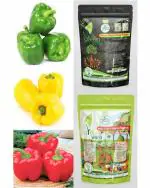 Green World Organic Capsicum Green Andhra, Capsicum Red and Capsicum Yellow Combo With Nutrients Manure 750 g Seed