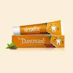 Dant Mani Ayurvedic Gum Care Toothpaste (100 g, Pack of 3)