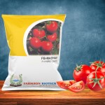 FARMSON BIOTECH PRIVATE LIMITED FB-MADHAV F1 HYBRID TOMATO SEEDS (ROUND AND RED) -10 Gm Pack