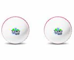 Jaspo T-20 Plus Practice Cricket Ball/Wind Balls (125-130 GMS) for - Indoor & Outdoor Sports (WHITE)