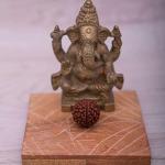 Feel Touch Mart 1 Mukhi Nepal Rudraksha Pure Round Bead Brown Beads