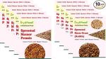 DryOfeast Combo Pack Of Sprouted Masoor & Horse Gram - 50 gm Each (Pack of 10)