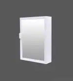 WINACO Payal Off White Acrylic Plastic Single Door Big Mirror (12