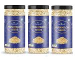 Nayanvati Muskmelon Seeds for Eating Kharbuja Beej 300 gm (Pack of 3)