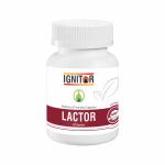 IGNITOR Prebiotic & Probiotics Supplement Capsules - For Men Women | Lactor | 60 Capsules