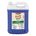 PowerPax Toilet Traditional Blue Toilet & Urinal Disinfectant Cleaner (Orange), 5L