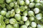 Fa Nursery Green Organic Brinjal Seeds (Pack of 97)