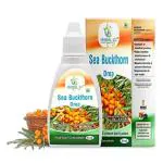HERBAL YUG Pure SEA BUCKTHORN Drop Vitamin C Rich Stamina & Immune System (Pack of 2)