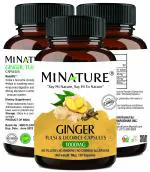 MINATURE Ginger Capsules, 90 Capsules / with Tulsi (Holy Basil ) and Licorice Root / Aids Digestion / Immune Support / Vegan/ Gluten Free