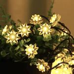 See Inside Double Lotus Flower Fairy String Lights for Home Decoration, Diwali, Christmas, Wedding, Party (3 Meter, Warm White)