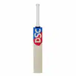 DSC Intense Assault Grade 5 English Willow Cricket Bat ( Size: Short Handle, Ball_ type : Leather Ball, Playing Style : All-Round ) (1500027)