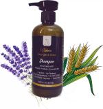 BBO Adore Anti-Dandruff Shampoo with Tea Tree, Lemongrass, Peppermint, Wheat Protein & 2% Salicylic acid Shampoo with Lavender Hydrosol Vegan | No SLA, No Parabens, No Phenoxyethenol, No Artificial Fragrances & 100% Natural - 300 gm