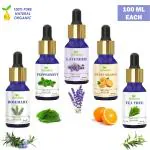 Homeda Essential Oils - Lavender, Tea Tree, Rosemary, Sweet Orange, Peppermint - 100ML each - Set of 5 for Hair Growth, Skin care, Diffuser essential oil for Home Fragrance