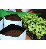 Bio Blooms Agro POLYBag UV Treated Poly Grow Bag, 20 x 20 x 35 cm (pack of 10)