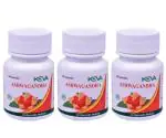 3 KEVA ASHWAGANDHA (AYURVEDIC, PACK OF 60 CAPSULES)