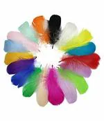 TIPTOP DECORATION Multicolor Natural Dyed Feathers (Pack of 80)