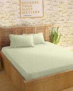 Sleeping Owls Cotton Ivory Bedsheet With Pillow Covers, 274 X 274 cm (Set Of 3)