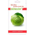 SENECIO Green Cabbage Pack Of 20 Seeds