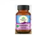 Organic India Ashwagandha Ayurvedic Medicine (1 Pack, 60 Veg Capsule in Each Pack)