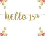 Festiko Hello 15th Glitter Banner Birthday Banner Happy Birthday Glitter Party Decorations Photo Prop 15th Celebrate