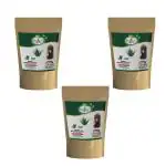 Chitra Herbals Aloe Vera Herbal Powder For Face & Hair Care |  All Skin & Hair Type Herbal Powder For Men and Women | No added Chemicals Pack of 3 - (Each 100g)